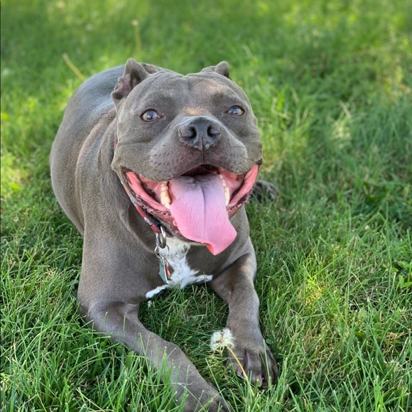 Meet your maker, Laur - Picture 4 of 5